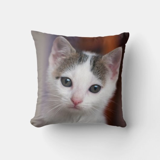 Witte Kat Kussen (Voorkant)