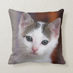 Witte Kat Kussen