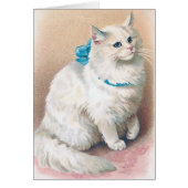  - witte kat met blauwe kat, (Voorkant)