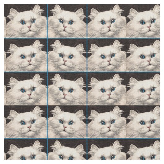 witte kat met blauwe ogen afdrukken stof (Close Up)