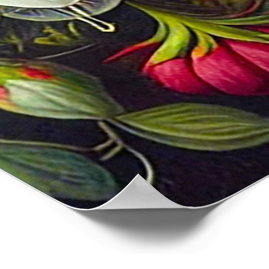 Witte kat met blauwe ogen poster (Hoek)