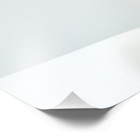 Witte kat met bril foto afdruk (Hoek)