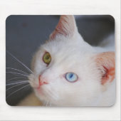 Witte kat met één groen oog en één blauw oog muismat (Voorkant)