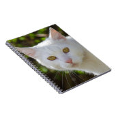 Witte kat met gele ogen ogen notitieboek (Rechterzijde)