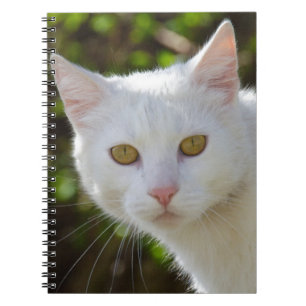 Witte kat met gele ogen ogen notitieboek