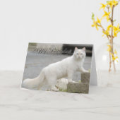 Witte kat met Gelukkige Verjaardag Kaart (Gele Bloem)