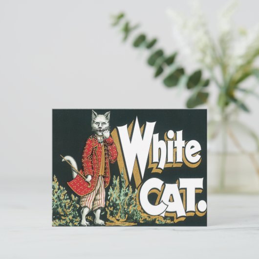 witte kat met label voor sigaar briefkaart (Staand voorkant)