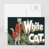  witte kat met label voor sigaar briefkaart (Voorkant / Achterkant)