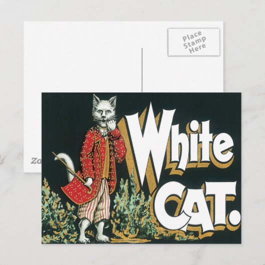  witte kat met label voor sigaar briefkaart (Voorkant / Achterkant)