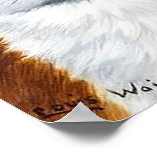 Witte kat met ventilator poster (Hoek)