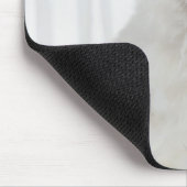 Witte kat met veren muismat (Hoek)