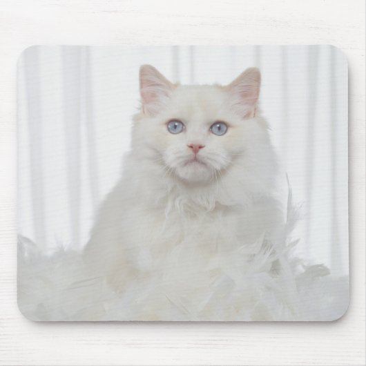 Witte kat met veren muismat (Voorkant)