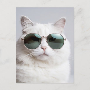 Witte kat met zonnebril, koele katachtige, heerlij briefkaart