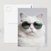 Witte kat met zonnebril, koele katachtige, heerlij briefkaart (Voorkant / Achterkant)