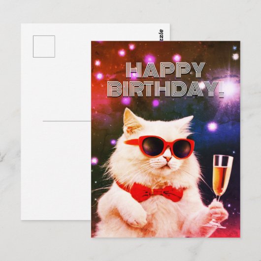 Witte kat met zonnebril toasting Verjaardag Briefkaart (Voorkant / Achterkant)