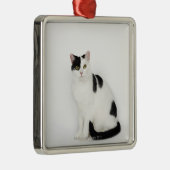 Witte kat met zwarte vlekken metalen ornament (Rechts)