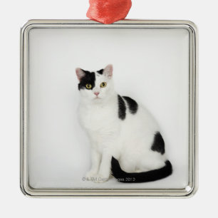 Witte kat met zwarte vlekken metalen ornament