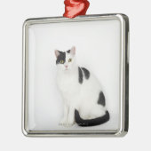 Witte kat met zwarte vlekken metalen ornament (Links)