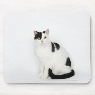 Witte kat met zwarte vlekken muismat