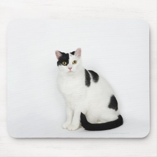 Witte kat met zwarte vlekken muismat (Voorkant)