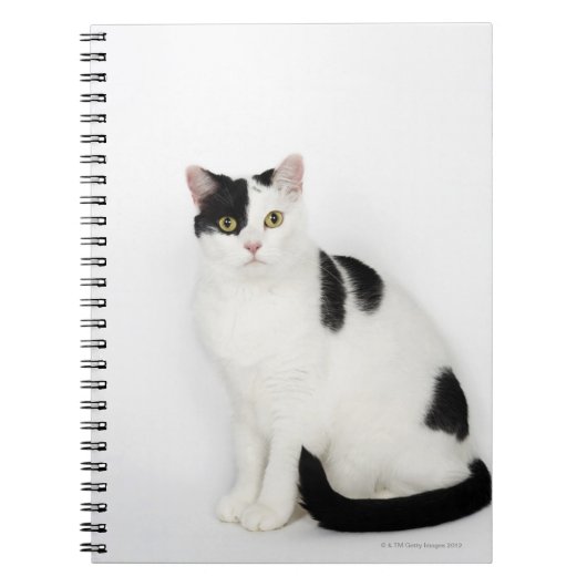 Witte kat met zwarte vlekken notitieboek (Voorkant)