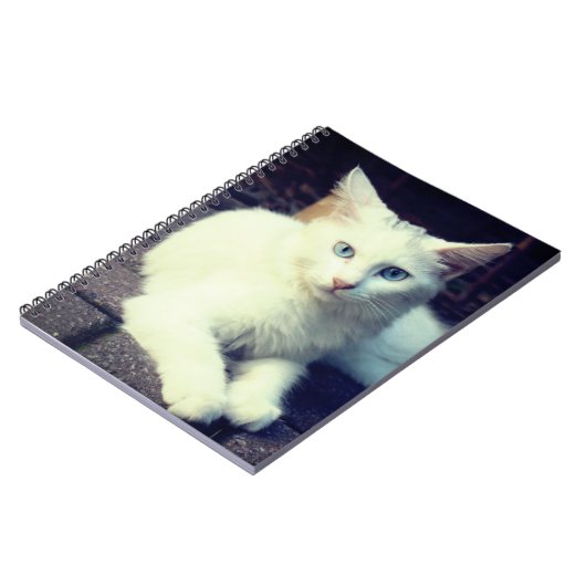 Witte kat notitieboek (Linkerzijde)