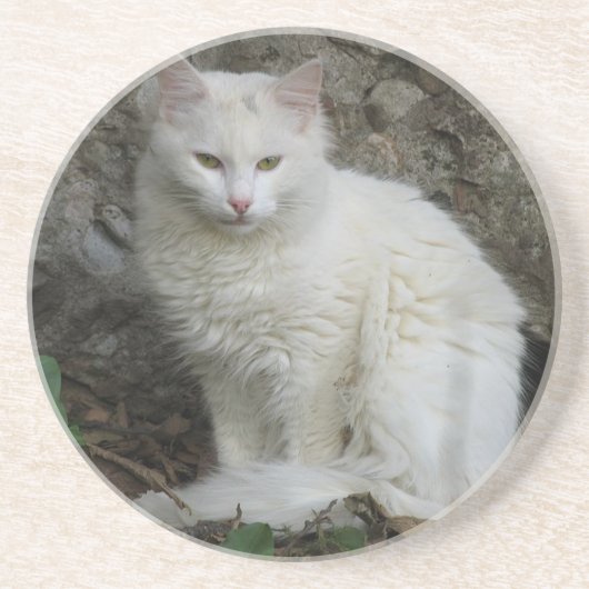 Witte kat Onderzetter (Voorkant)
