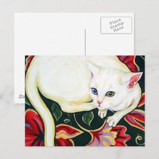 Witte kat op een kussen briefkaart (Voorkant / Achterkant)