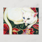 Witte kat op een kussen briefkaart (Voorkant)