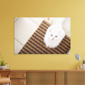 Witte kat op mat canvas afdruk (Insitu (Woonkamer))