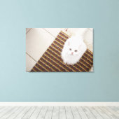 Witte kat op mat canvas afdruk (Insitu (Houten vloer))