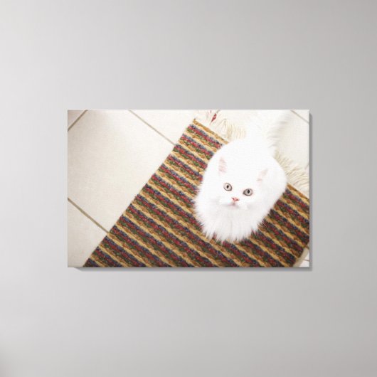 Witte kat op mat canvas afdruk (Voorkant)