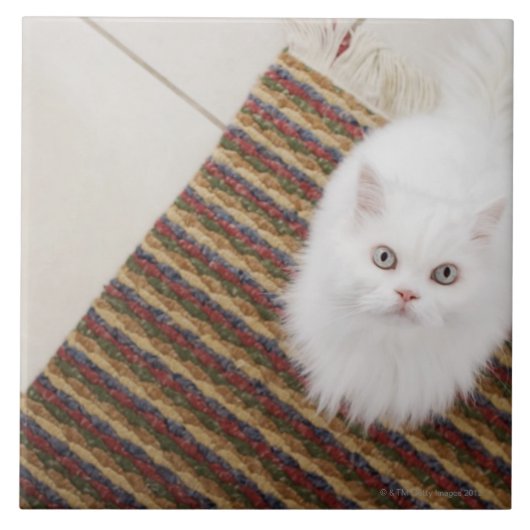 Witte kat op mat tegeltje (Voorkant)