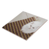 Witte kat op mat tegeltje (Zijkant)