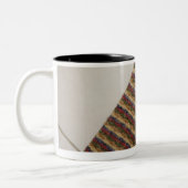 Witte kat op mat tweekleurige koffiemok (Links)