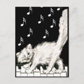 Witte Kat op Piano Keys Briefkaart (Voorkant)