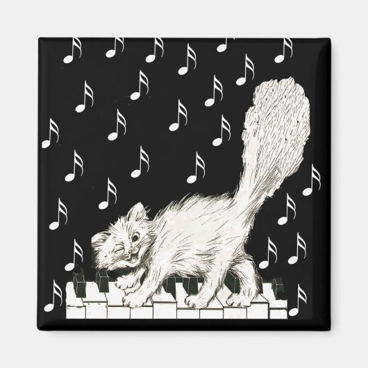 Witte Kat op Piano Keys Magneet (Voorkant)
