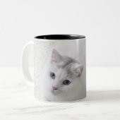 Witte kat op tweekleurige koffiemok (Voorkant links)
