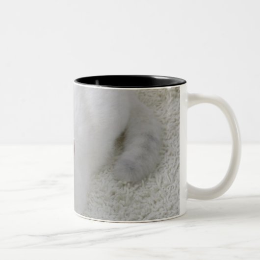 Witte kat op tweekleurige koffiemok (Rechts)