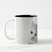 Witte kat op tweekleurige koffiemok (Links)