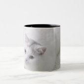 Witte kat op tweekleurige koffiemok (Center)
