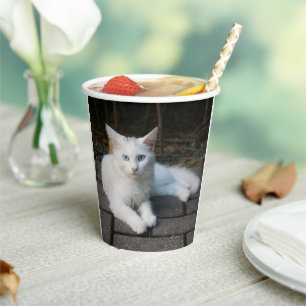 Witte kat papieren bekers