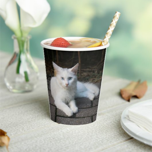 Witte kat papieren bekers (Insitu)