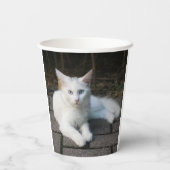 Witte kat papieren bekers (Achterkant)
