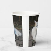 Witte kat papieren bekers (Rechts)