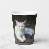 Witte kat papieren bekers (Voorkant)