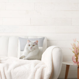 Witte kat poseren op wit tapijt kussen