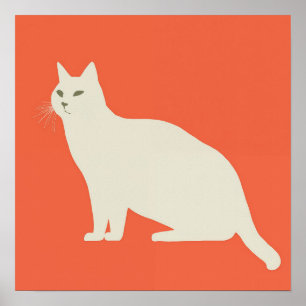 Witte kat poster