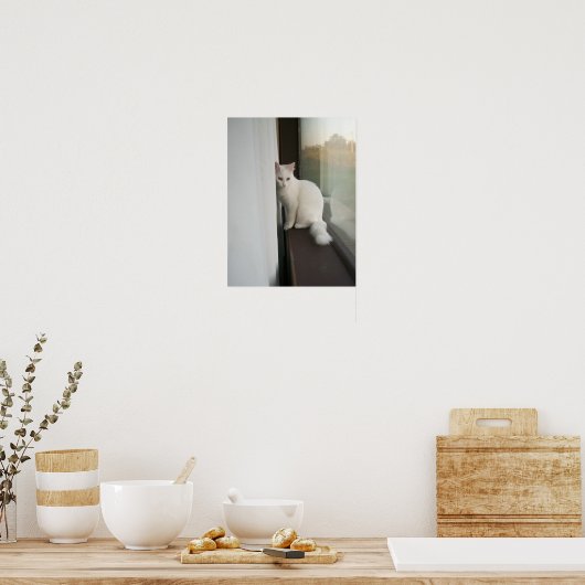 Witte kat Poster (Keuken)