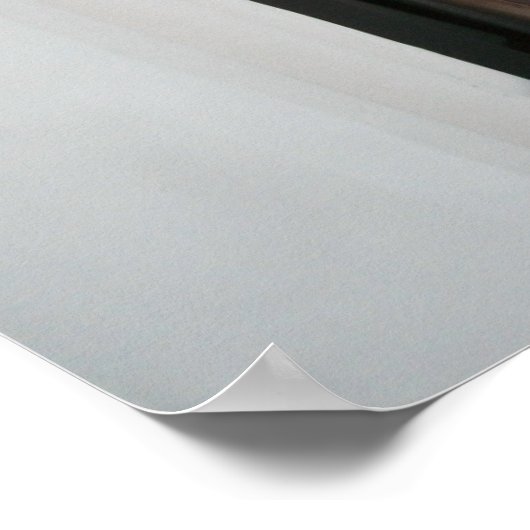 Witte kat Poster (Hoek)